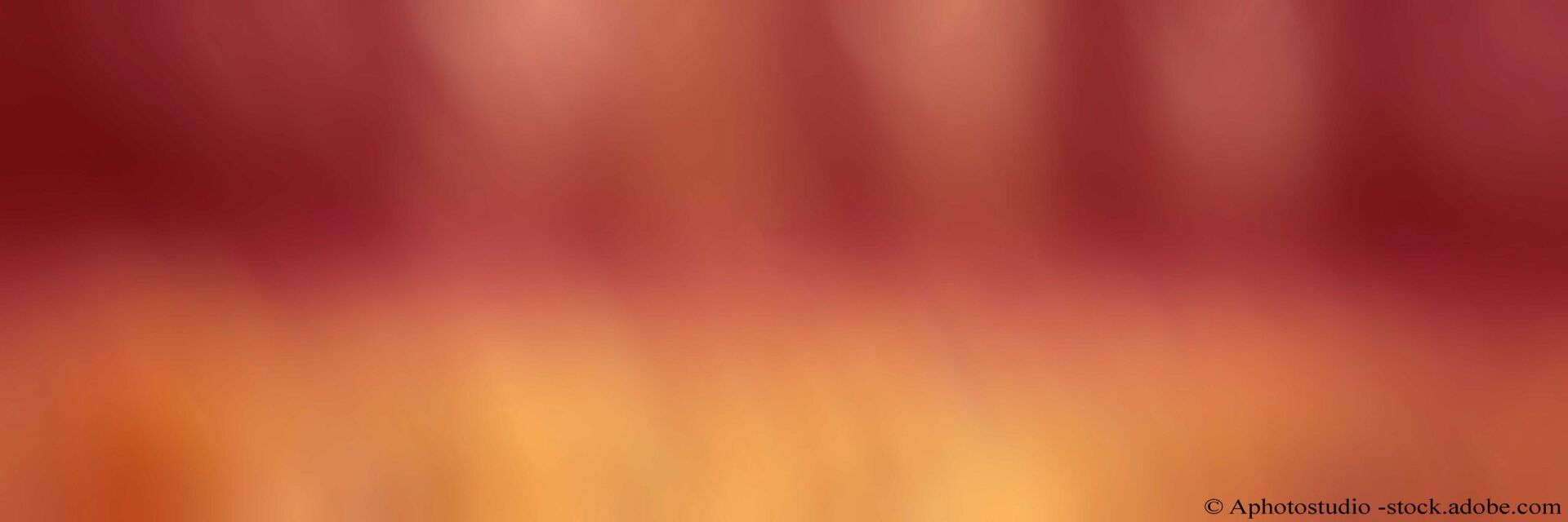 Dr. Christine Noack-Riese, Berlin