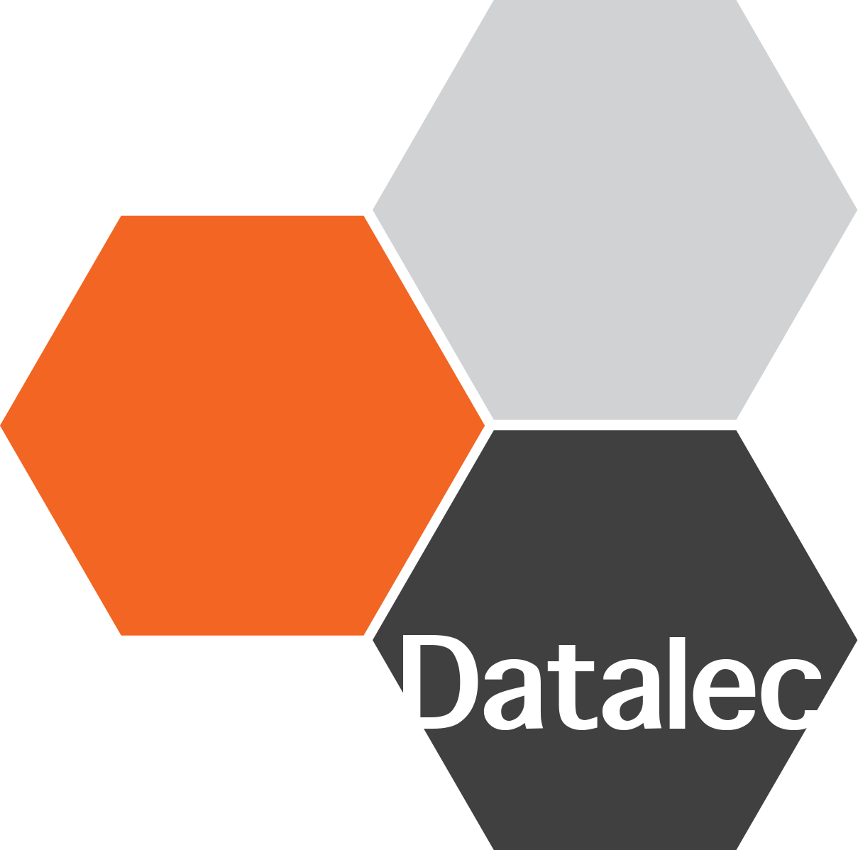 Datalec BVBA header logo