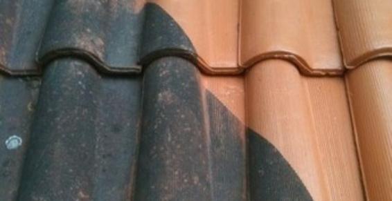 Traitement antimousse