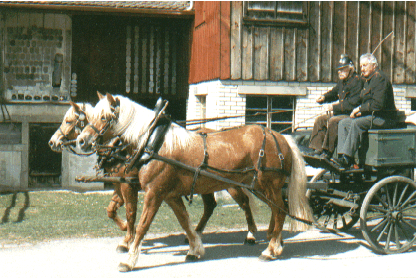Amicale Ancien Pompiers (AAP) Maracon