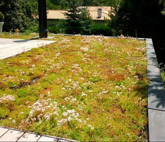 Adour Jardin toiture végétale