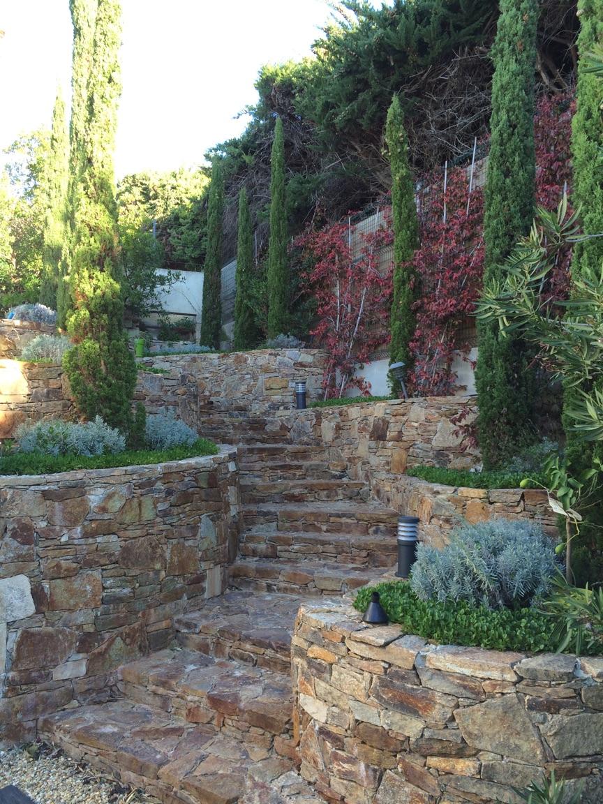 Allée en pierre bordée de verdure