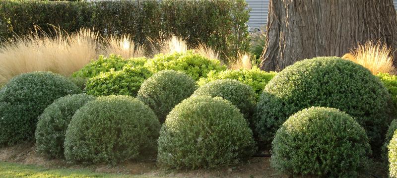 Création et entretien de jardins