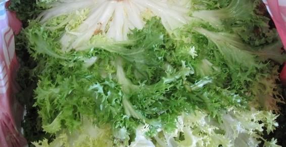 Frisée