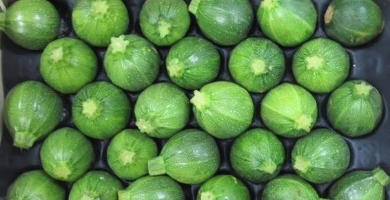 Courgette Ronde