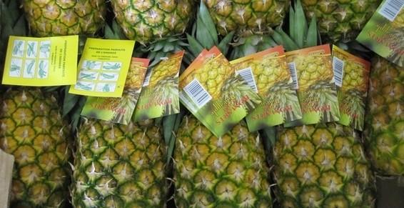 Ananas