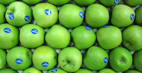 Profruit Sarl à Sarrola Carcopino