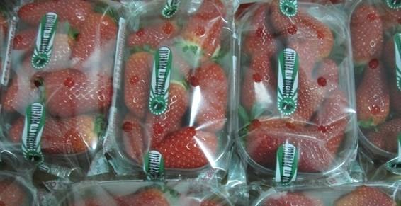 Fraises
