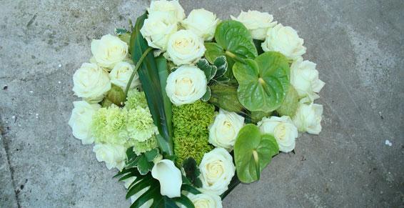 00327334_PVI_0001_GA_01