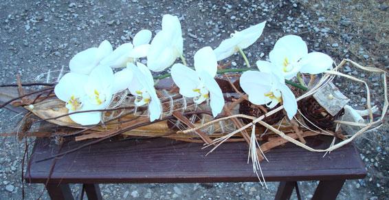 00327334_PVI_0001_GA_10