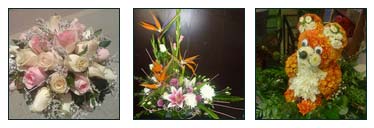 תמונת אווירה