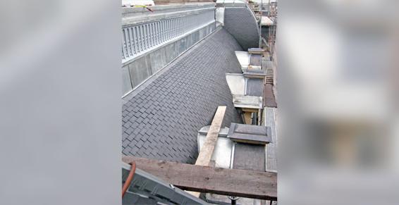 Nettoyage de toitures á Paris