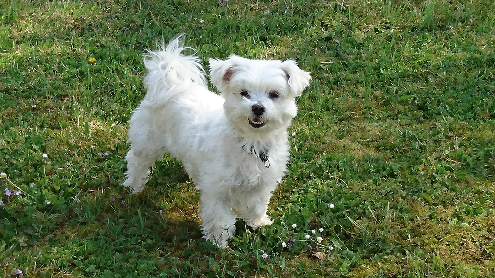 JOURS VACANCES (236)