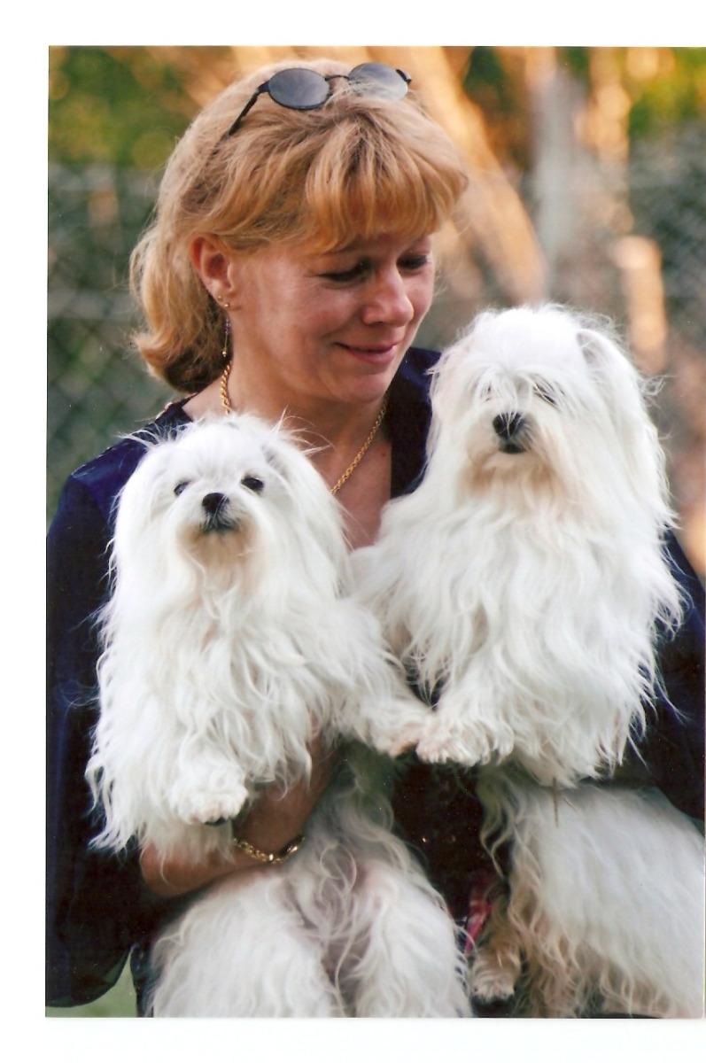BICHONS MALTAIS