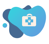 צוות מקצועי ומסור