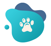 אווירה נעימה ורגועה