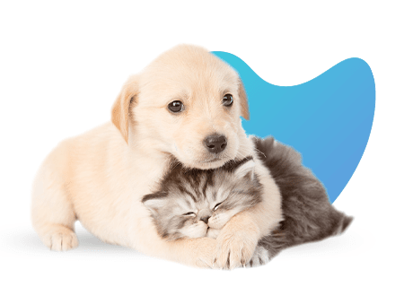 טיפולים במרפאה