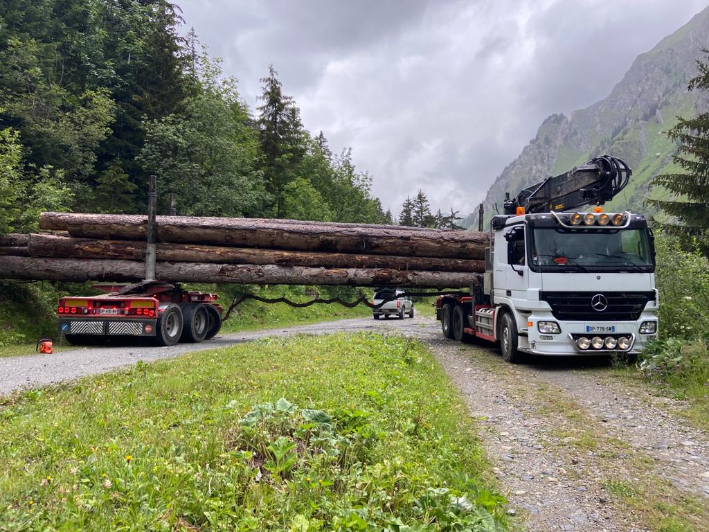 Transports Brun Transport de grumes Albertville