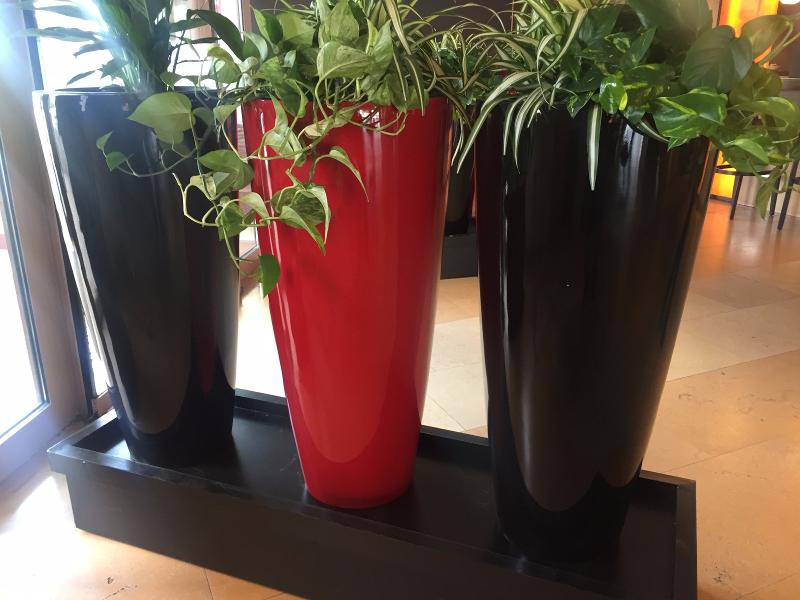 Installation du Hall d'entrée de l’hôtel Mercure Appoigny