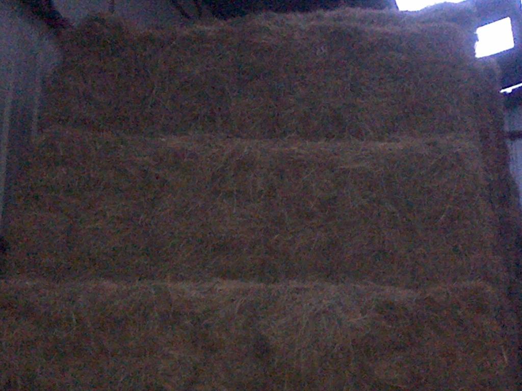 Paquets de Foin Nord