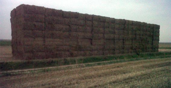 Nord-Paille à Étroeungt - Grains et fourrages pour professionnels