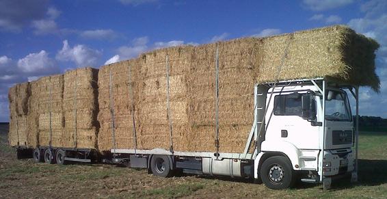 Nord-Paille SARL à Étroeungt - Production de grains et de fourrages