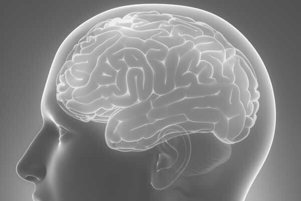 Potenciais Evocados Visuais 