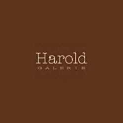 Logo de l'entreprise Harold Galerie Photographe