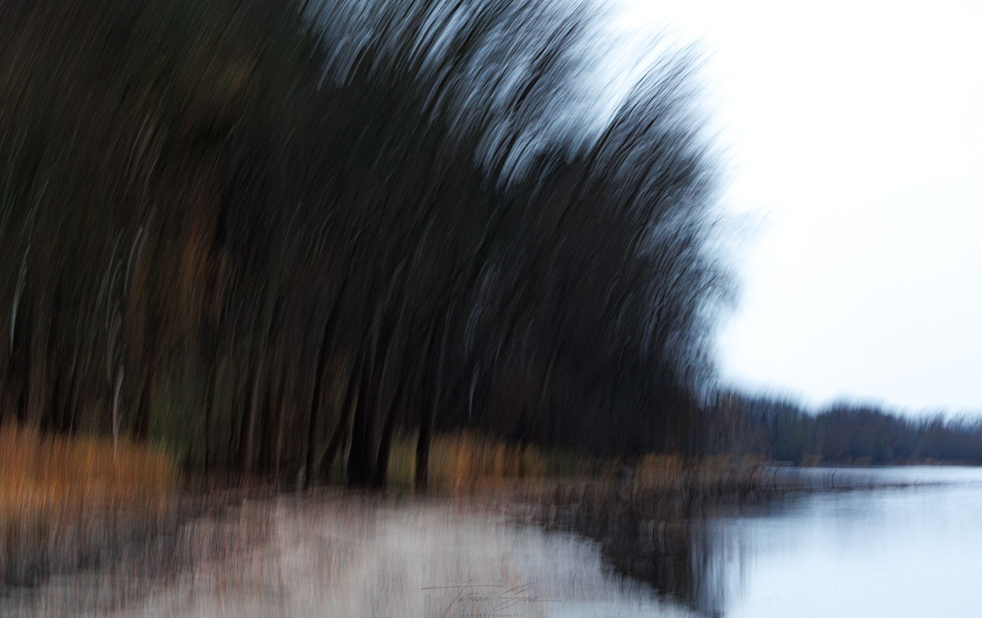 Verschwommene Bäume und ihre Spiegelungen auf einem stillen See.