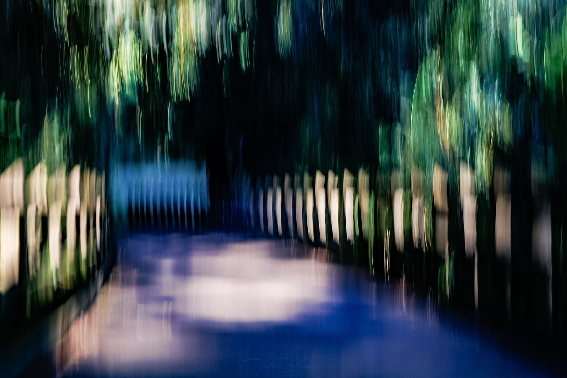 Verschwommene Ansicht eines Gehwegs mit Holzzaun und Laub, in blaues und grünes Licht getaucht.