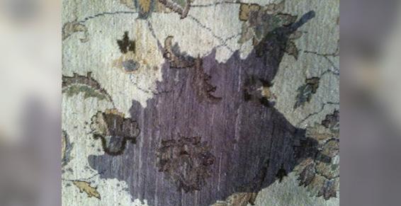 Tache de vin sur tapis d'Orient