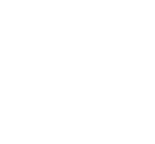 Pizza Apollo landing logo