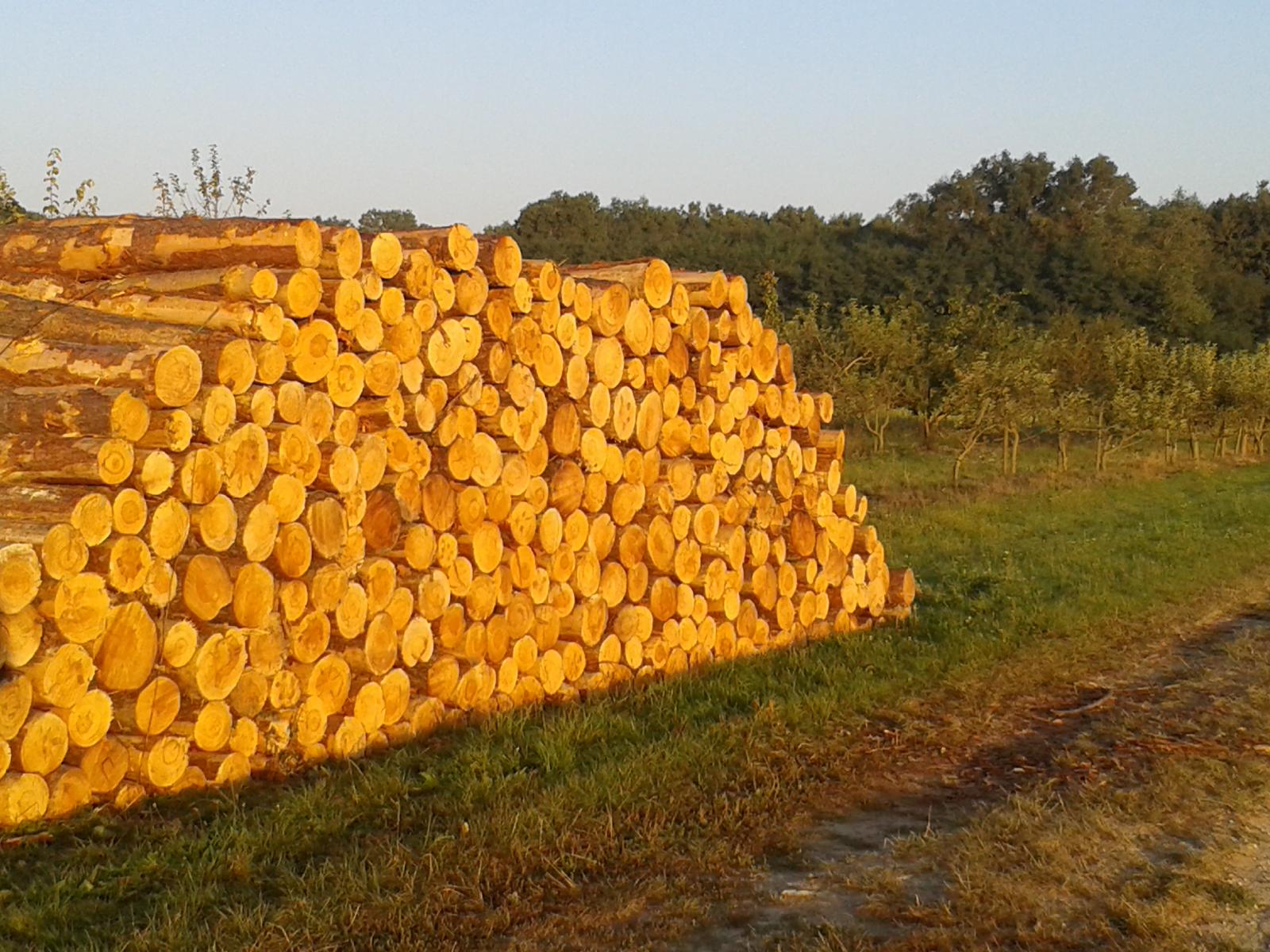 BR Wood Négoce bois en région Centre