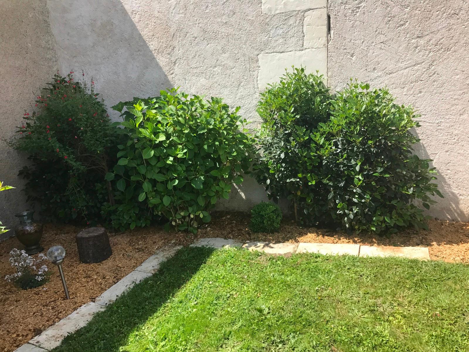 Paillage naturel 1 - espaces verts