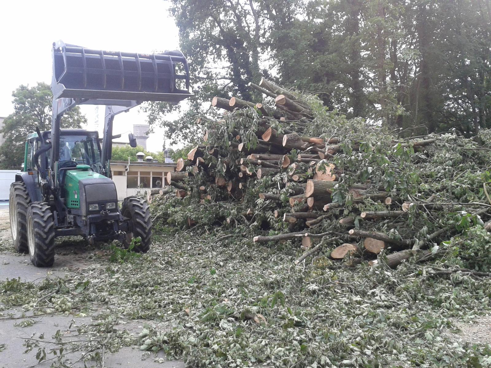 BR Wood à Chaumont sur Loire - Loir-et-Cher (41) - Collecte