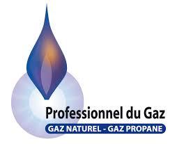 professionnel de gaz