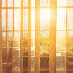 סוכן מורשה של חברת צאלון