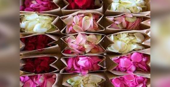 La Possession - Pétales de fleurs