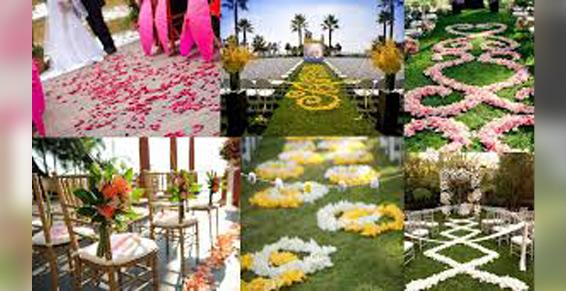 Mariages - Pétales de fleurs