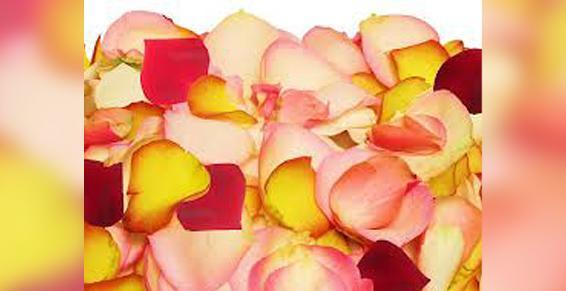 Articles de fête - Pétales de fleurs