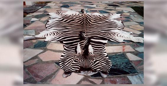 Tannage de peaux dans les Yvelines