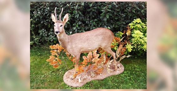 Naturalisme à Gazeran