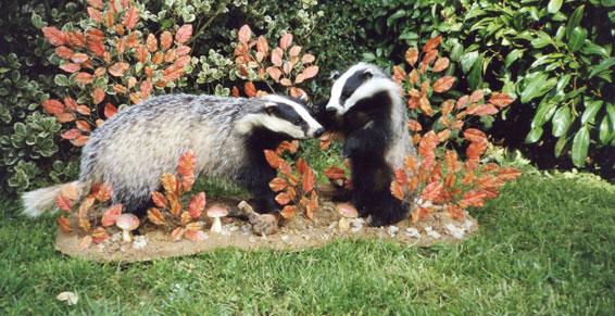 Taxidermisme à Gazeran