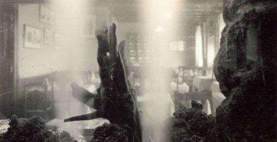 Salle de restaurant à Penmarch