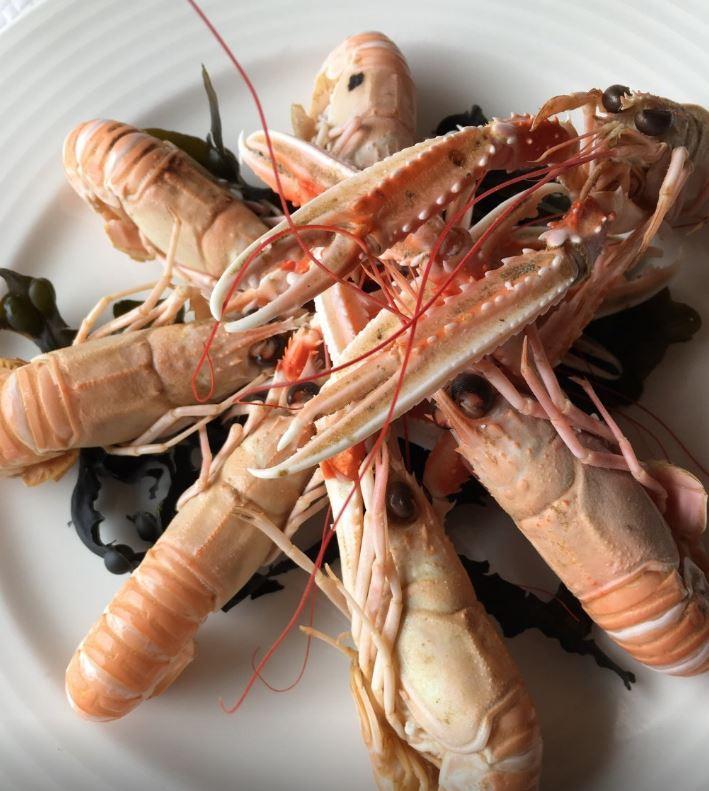 Langoustines32 Le Doris à Penmarch