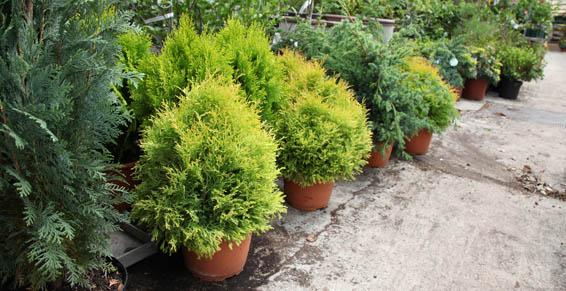 Poteries diverses et outillage adapté