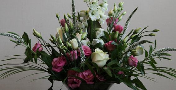 composition lys blanc