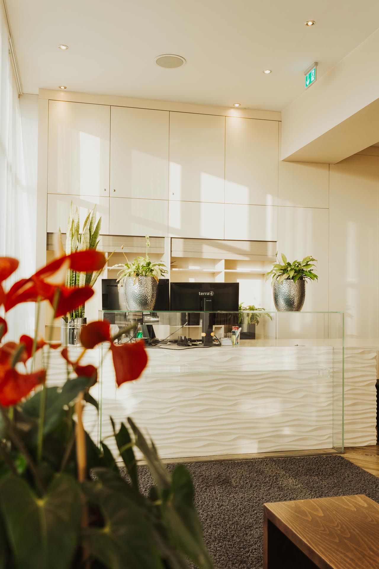 Helle Lobby-Rezeption mit Pflanzen, roten Blumen und Sonnenlicht, das durch große Fenster strömt