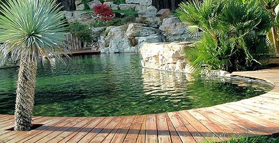 Sud Jardin - Paysagiste - Moussan