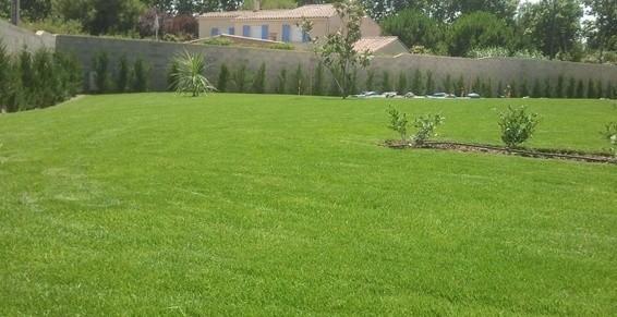 pose de gazon en plaque a st marcel